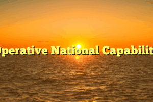 Operative National Capability