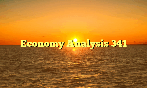 Economy Analysis 341