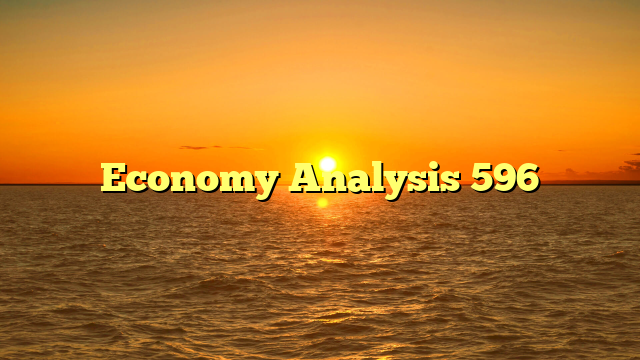 Economy Analysis 596