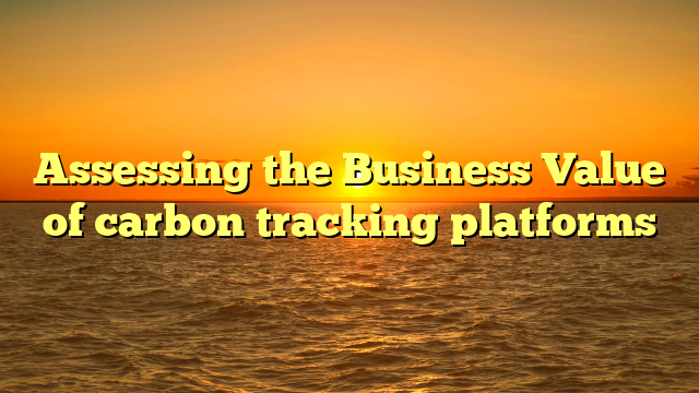 Assessing the Business Value of carbon tracking platforms