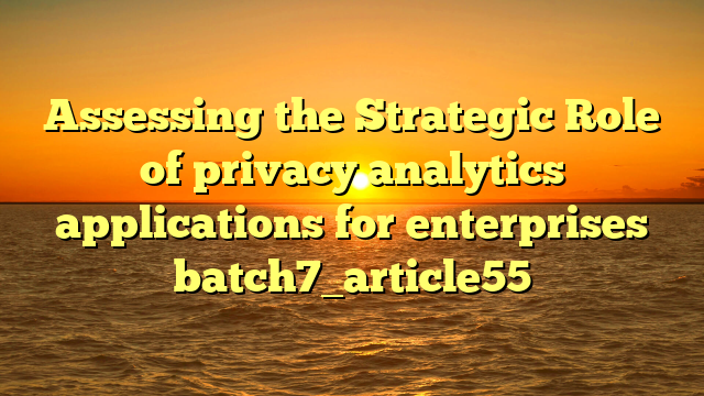 Assessing the Strategic Role of privacy analytics applications for enterprises batch7_article55
