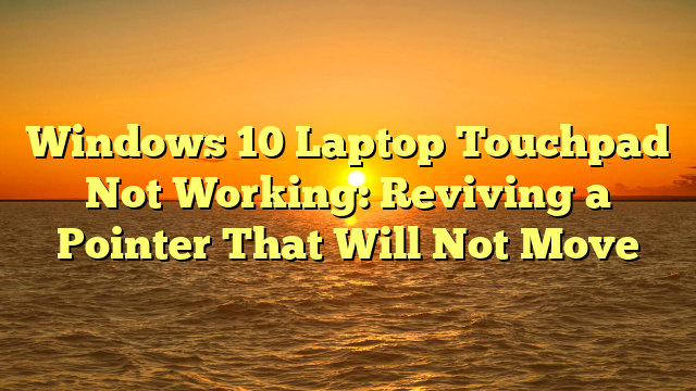 Windows 10 Laptop Touchpad Not Working: Reviving a Pointer That Will Not Move
